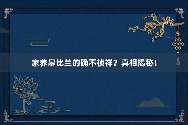 家养皋比兰的确不祯祥？真相揭秘！