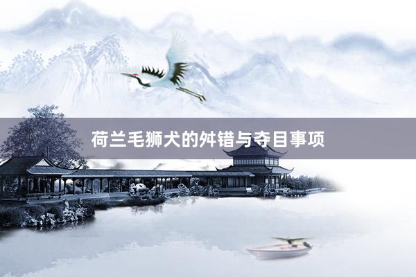 荷兰毛狮犬的舛错与夺目事项